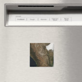 Satellitenbild der Landschaft von Zentralmexiko Magnet (In Situ (Geschirrspüler))