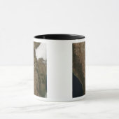 Satellitenbild der Landschaft von Zentralmexiko Tasse (Zentrum)