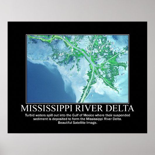 Satellitenbild des Delta des Flusses Mississippi Poster (Vorne)