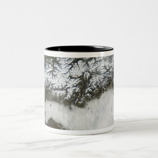 Satellitenbild Die Alpen Zweifarbige Tasse (Mittel)