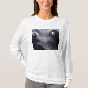 Satellitenbild von Semisopochnoi Insel T-Shirt