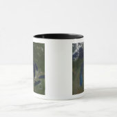 Satellitenblick auf die Großen Seen Tasse (Zentrum)