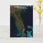 Satellitenblick auf Florida. Karte (Gelbe Blume)