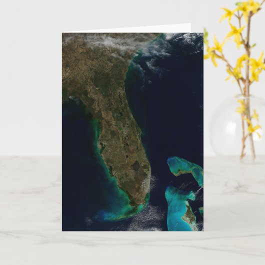 Satellitenblick auf Florida. Karte (Gelbe Blume)