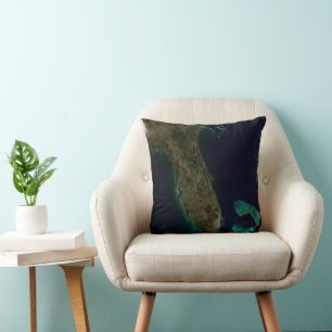 Satellitenblick auf Florida. Kissen