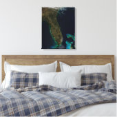 Satellitenblick auf Florida. Leinwanddruck (Insitu (Schlafzimmer))