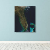 Satellitenblick auf Florida. Leinwanddruck (Insitu (Holzboden))