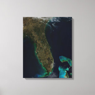 Satellitenblick auf Florida. Leinwanddruck