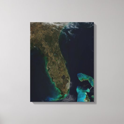 Satellitenblick auf Florida. Leinwanddruck (Vorderseite)
