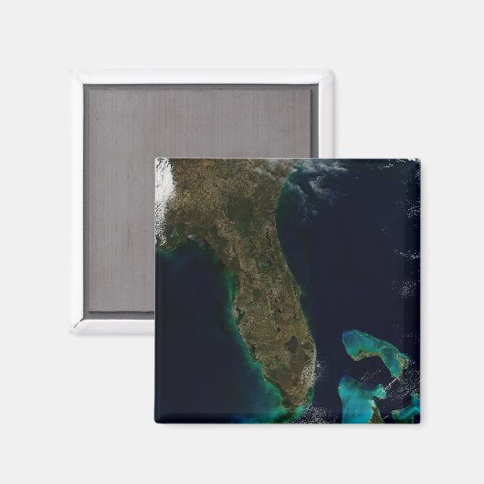 Satellitenblick auf Florida. Magnet (Vorderseite/Rückseite)