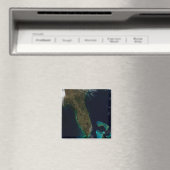 Satellitenblick auf Florida. Magnet (In Situ (Geschirrspüler))