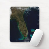 Satellitenblick auf Florida. Mousepad (Mit Mouse)