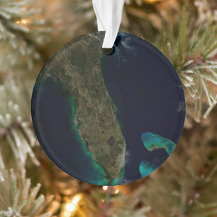 Satellitenblick auf Florida. Ornament