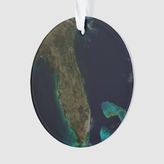 Satellitenblick auf Florida. Ornament (Vorderseite)