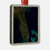 Satellitenblick auf Florida. Ornament Aus Metall (Rechts)