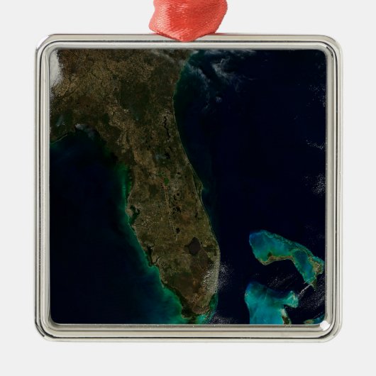 Satellitenblick auf Florida. Ornament Aus Metall (Vorne)