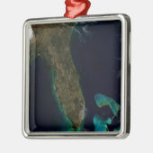 Satellitenblick auf Florida. Ornament Aus Metall (Links)