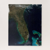 Satellitenblick auf Florida. Puzzle (Vertikal)