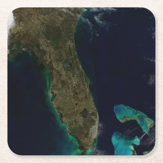 Satellitenblick auf Florida. Rechteckiger Pappuntersetzer (Vorderseite)