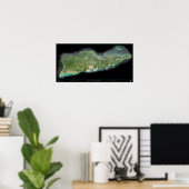 Satellitenplakat der St. Croix U.S. Jungfrau Islan Poster (Heimbüro)