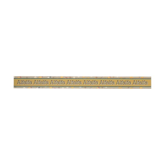 Satin Gold Honey Jar Security Lid Label (Person)