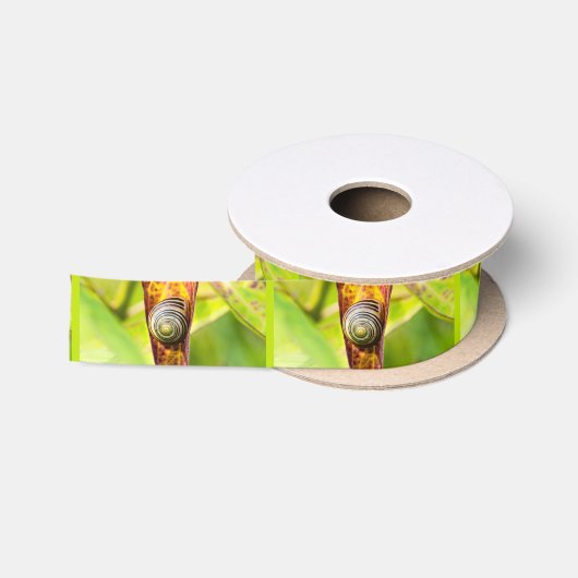 Satinband (Spule)