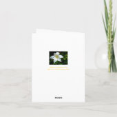 SATINY WHITE BLUME / DANKE SIE KARTE/FOTOG. (Rückseite)