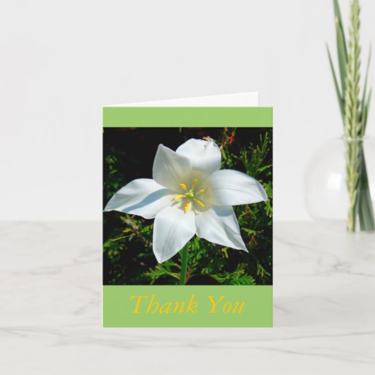 SATINY WHITE BLUME / DANKE SIE KARTE/FOTOG. (Vorderseite)