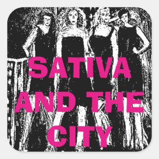 SATIVA UND STADT QUADRATISCHER AUFKLEBER
