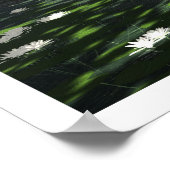 Satori Poster (Ecke)