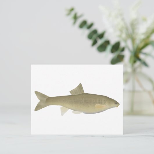 Sattar Snowfout Postkarte (Stehend Vorderseite)