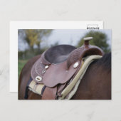 Sattel am Pferd Postkarte (Vorne/Hinten)