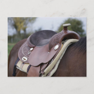 Sattel am Pferd Postkarte
