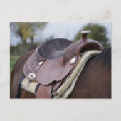 Sattel am Pferd Postkarte (Vorderseite)