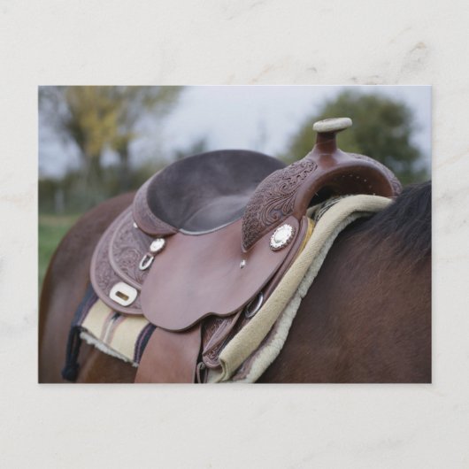 Sattel am Pferd Postkarte (Vorderseite)