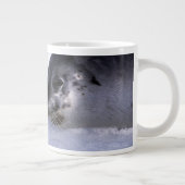 Sattelrobbenmutter mit Jungtier Jumbo-Tasse (Rechts)