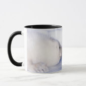 Sattelrobbenmutter mit Jungtier Tasse (Links)