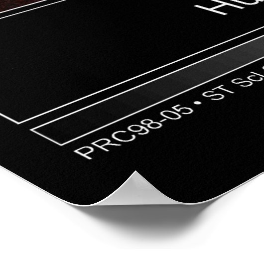 Saturn Aurora Hubble Telescope Foto Poster (Ecke)