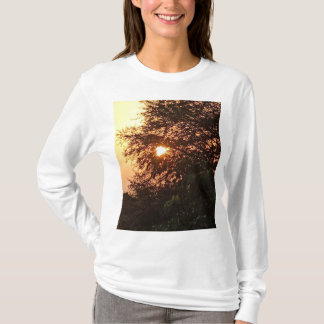 Satyam Group T - Shirt