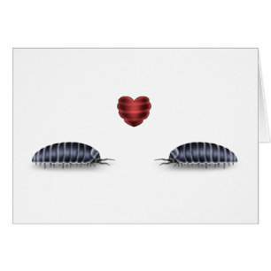 Sau-Wanze Luv (lässt Rolle Togeather)