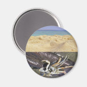 Sauber oder dreckig? GDI! Magnet (Vorderseite/Rückseite)