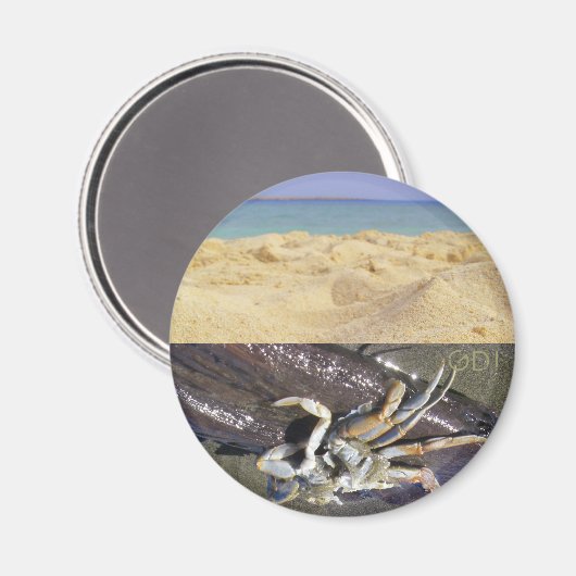 Sauber oder dreckig? GDI! Magnet (Vorderseite/Rückseite)