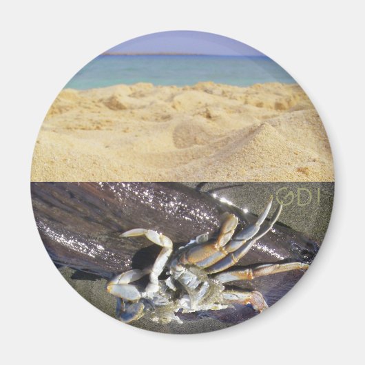 Sauber oder dreckig? GDI! Magnet (Vorne)