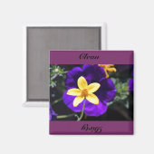 sauber, schmutzig magnet (Vorderseite/Rückseite)