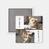 Saubere Dirty Lioness Magnet (Vorderseite/Rückseite)