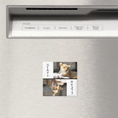 Saubere Dirty Lioness Magnet (In Situ (Geschirrspüler))