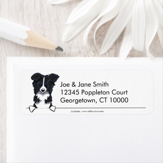 Saubere, einfache Border Collie (Insitu)