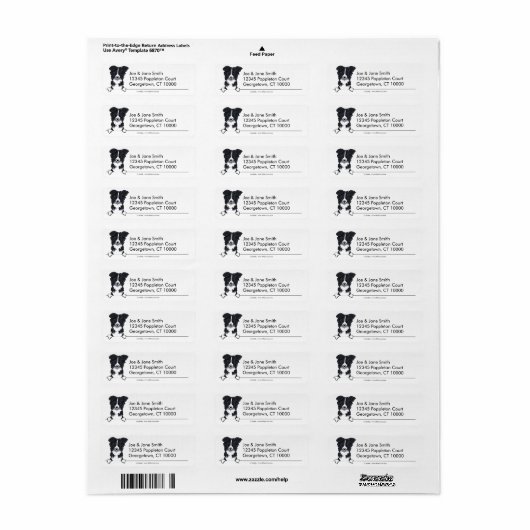 Saubere, einfache Border Collie (Vorne)