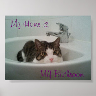 Saubere Katze Poster