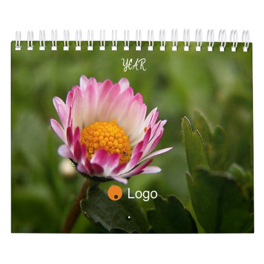 Saubere und einfache Einrichtung Kalender (Titelbild)